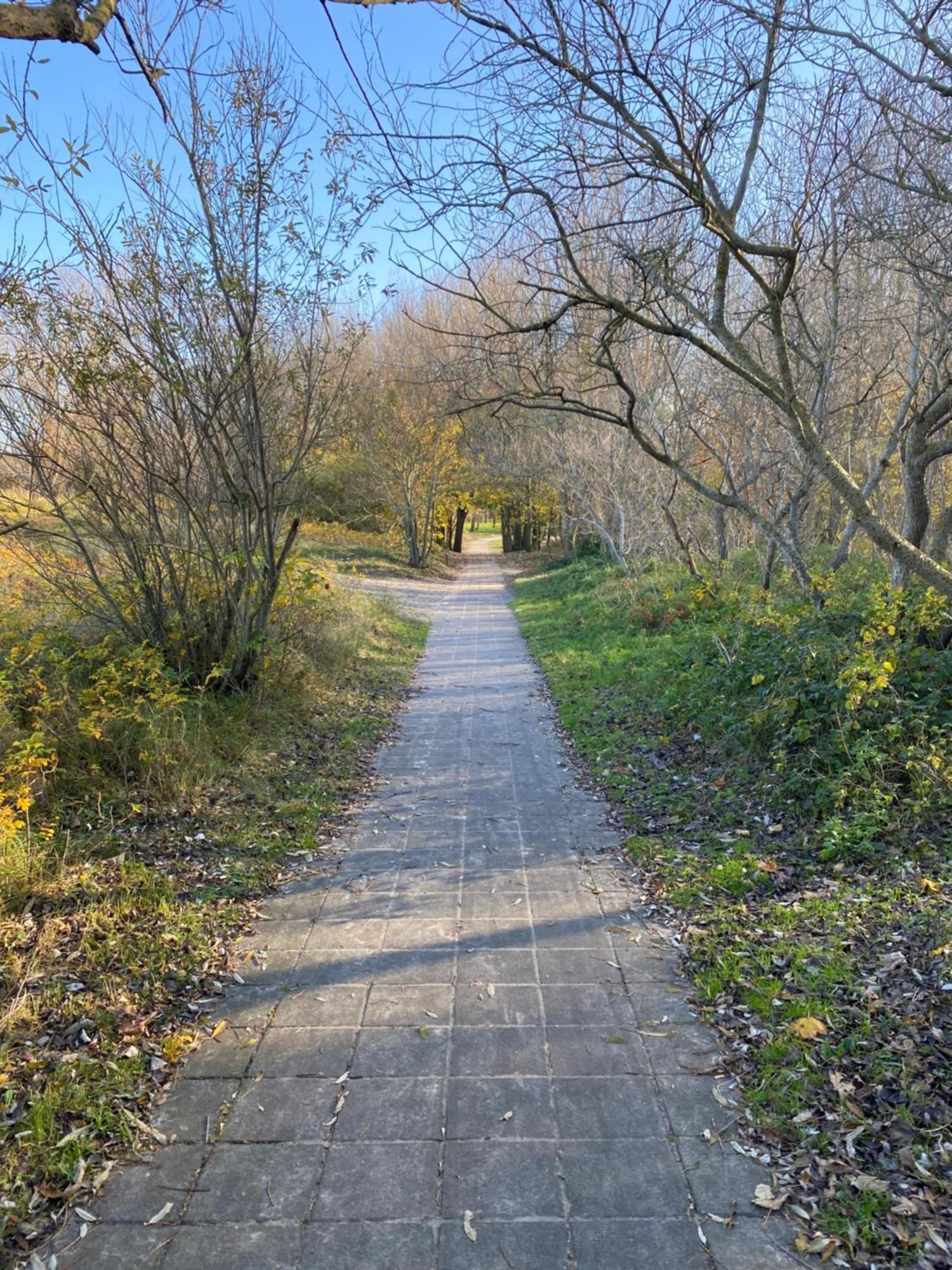 Sea&Dunes Knokke-Heist Bagian luar foto